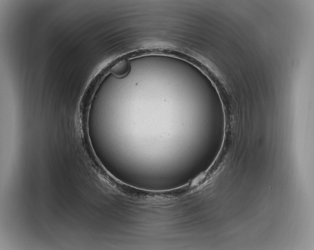 X0000116311022200912071304