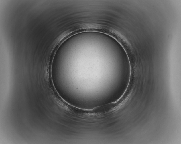 X0000116311025200912071304