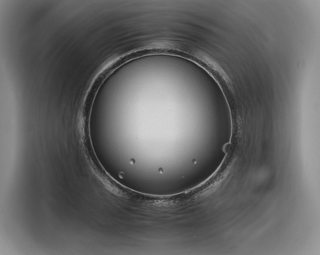 X0000116311029200912071304