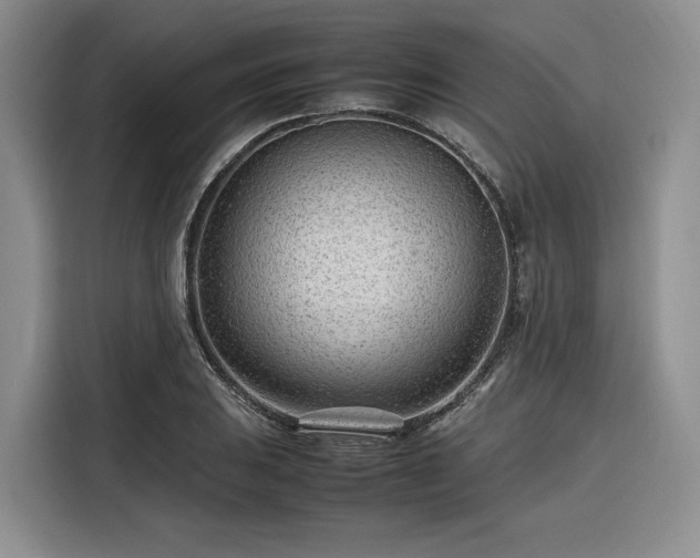 X0000116311031200912071304