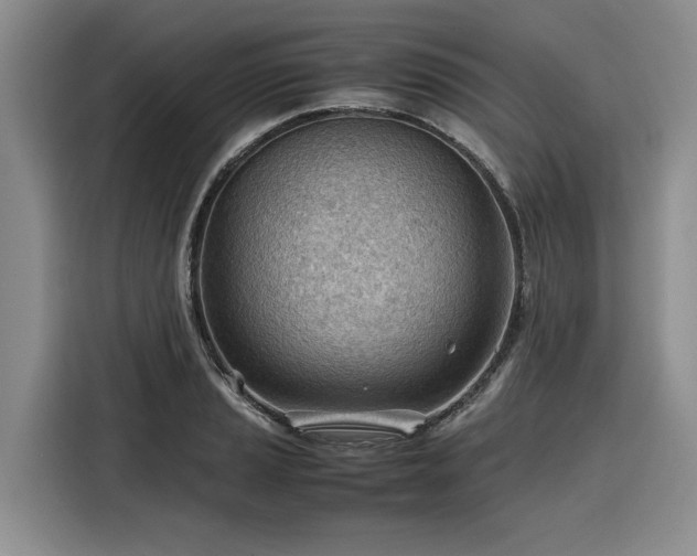 X0000116311037200912071304