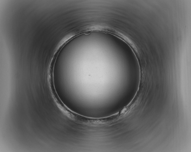 X0000116311042200912071304