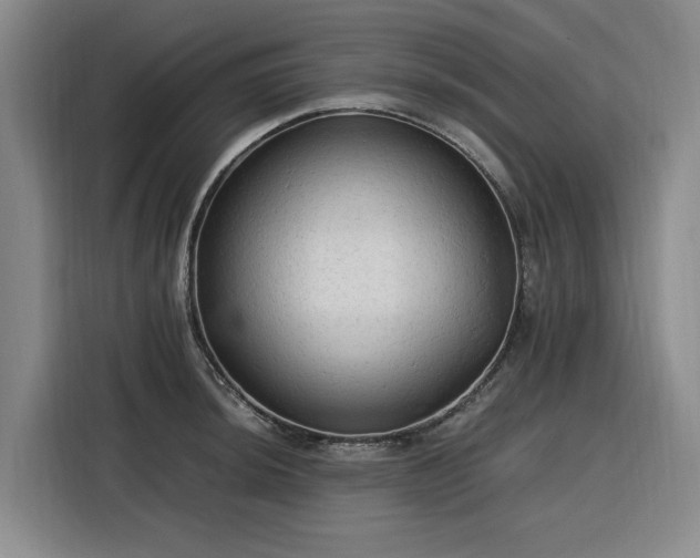 X0000116311044200912071304