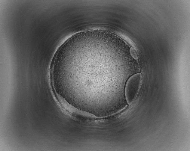 X0000116311047200912071304