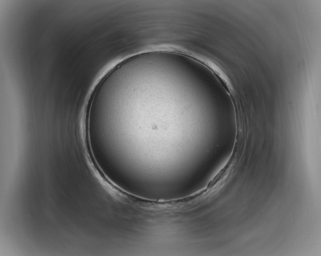 X0000116311054200912071305