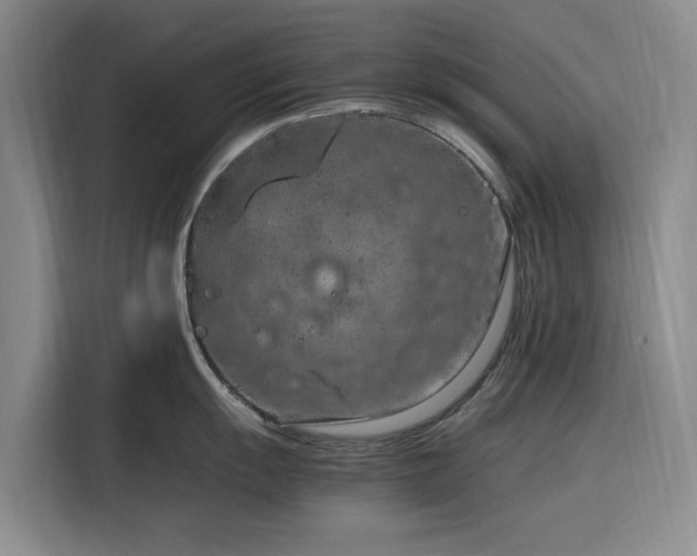 X0000116311055200912071305