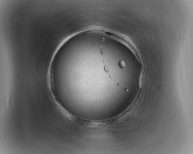 X0000116311056200912071305