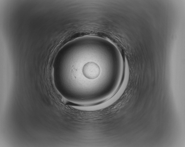 X0000116311057200912071304