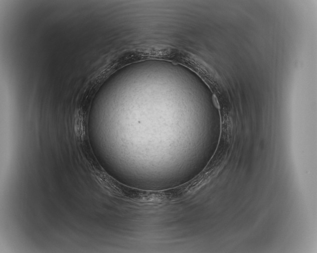 X0000116311058200912071304