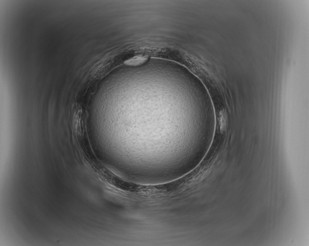 X0000116311059200912071304