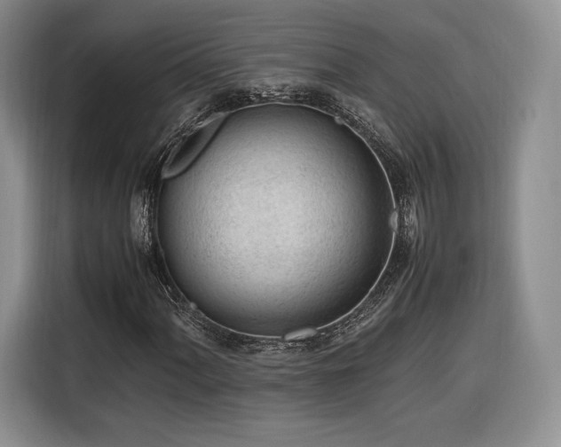 X0000116311060200912071304