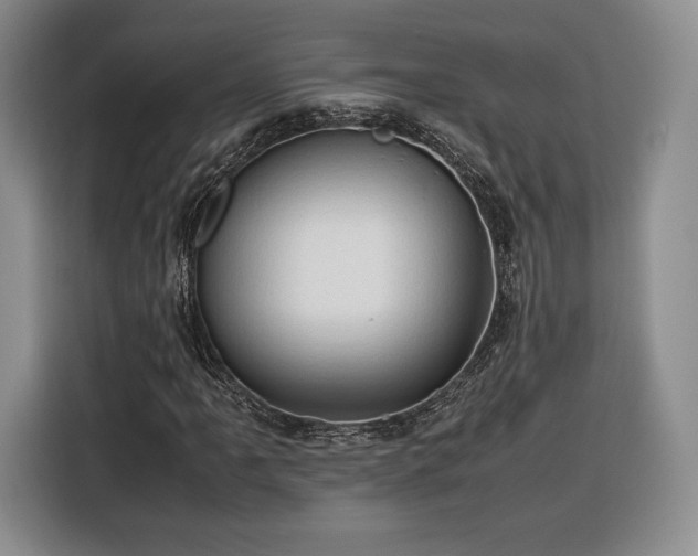 X0000116311061200912071304