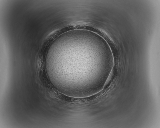 X0000116311063200912071304