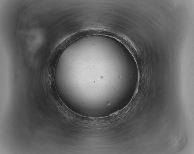 X0000116311064200912071304