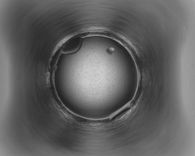 X0000116311066200912071304