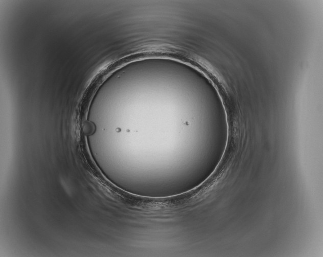 X0000116311067200912071304