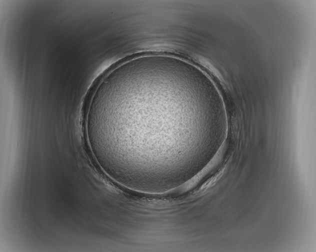 X0000116311071200912071304