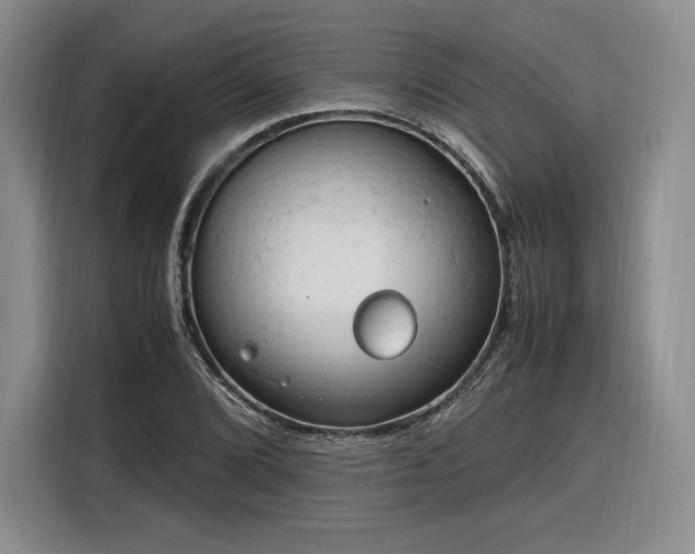 X0000116311072200912071304