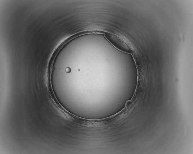 X0000116311076200912071304