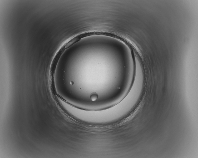 X0000116311077200912071304