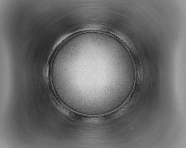 X0000116311078200912071304