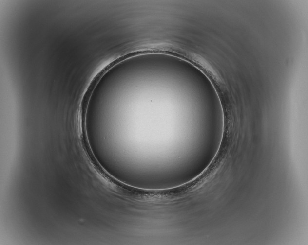 X0000116311079200912071304