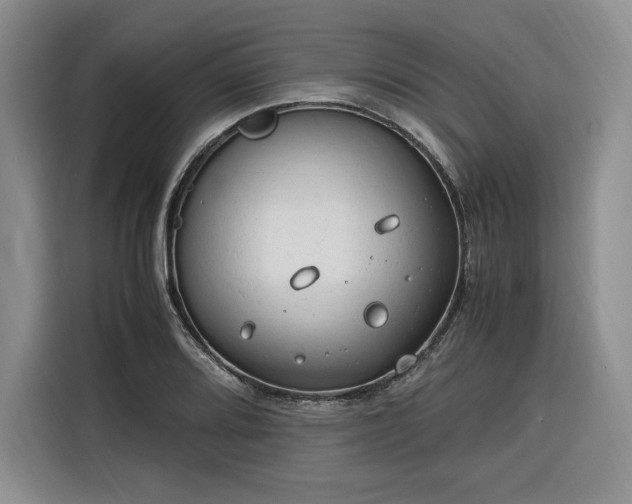 X0000116311080200912071304