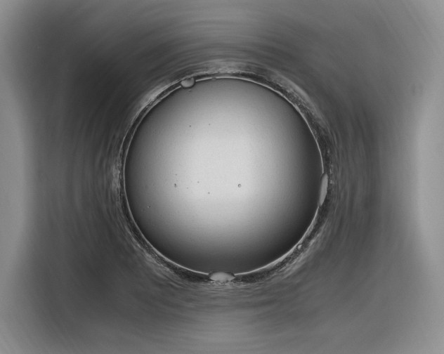 X0000116311081200912071304