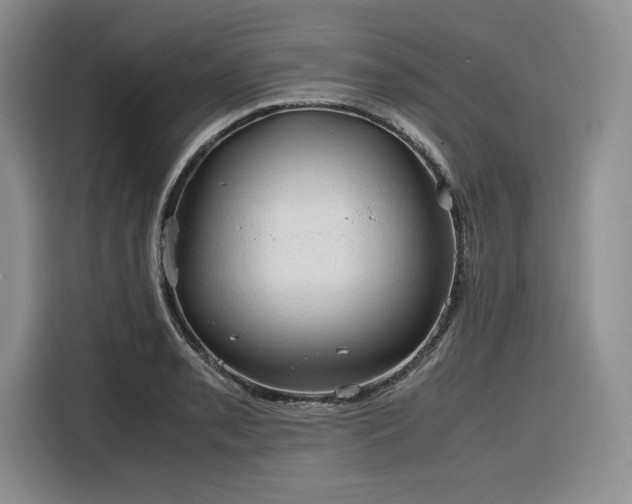 X0000116311085200912071304