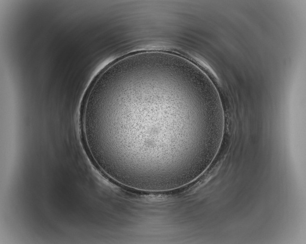 X0000116311087200912071304