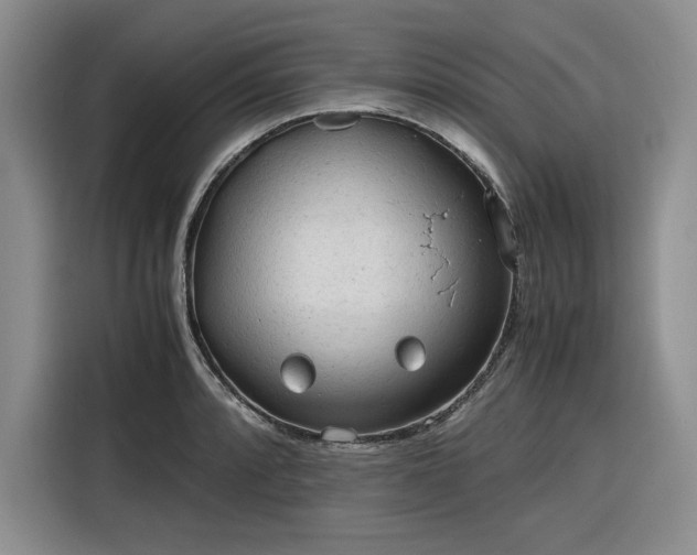 X0000116311088200912071304