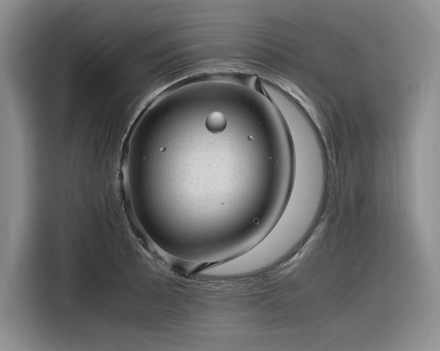 X0000116311089200912071303