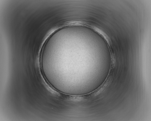 X0000116311090200912071303