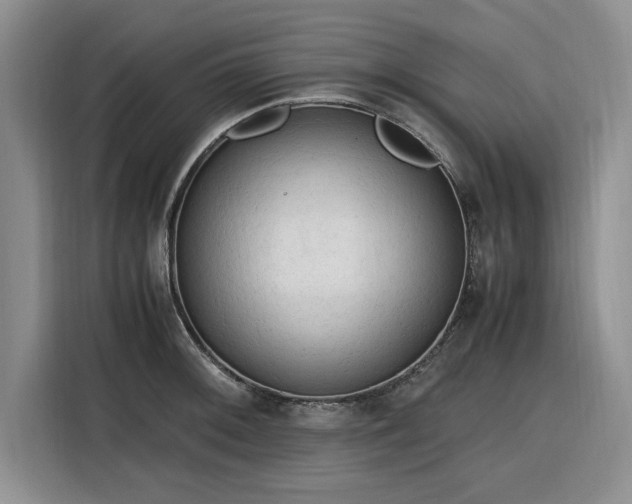 X0000116311092200912071303