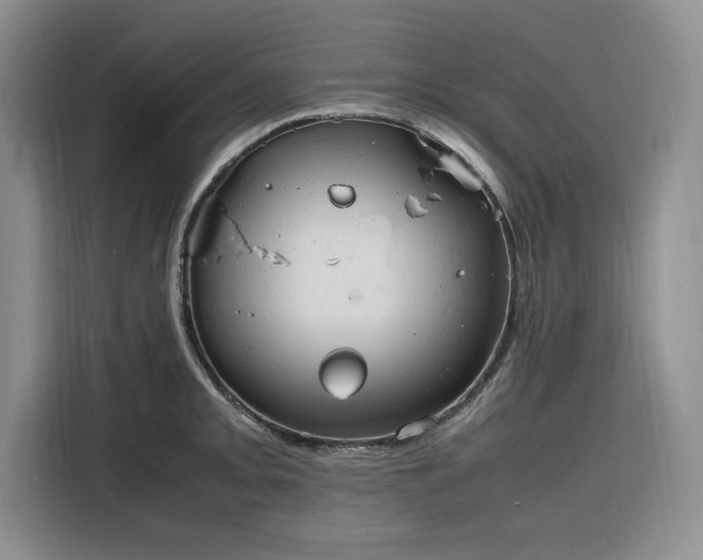 X0000116311093200912071303