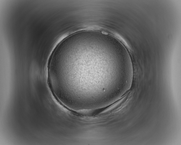 X0000116311095200912071303