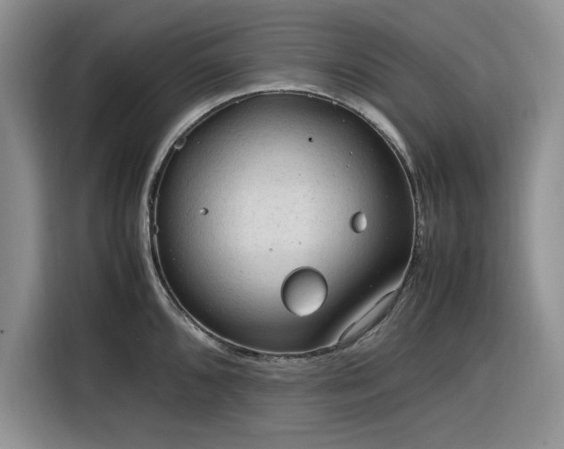 X0000116311096200912071303