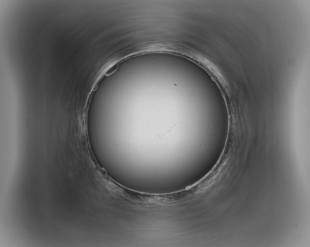 X0000116311097200912071303