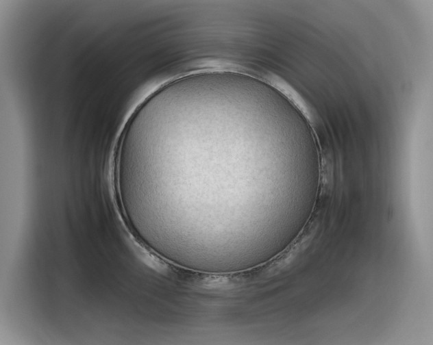 X0000116311098200912071303