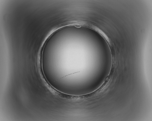 X0000116311099200912071303