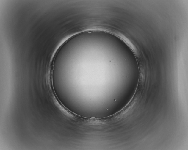 X0000116311100200912071303