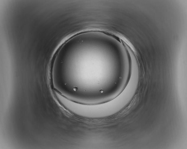 X0000116311101200912071303