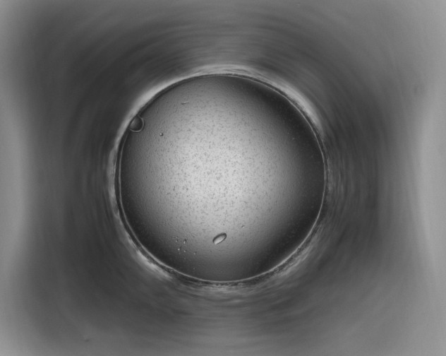 X0000116311102200912071303