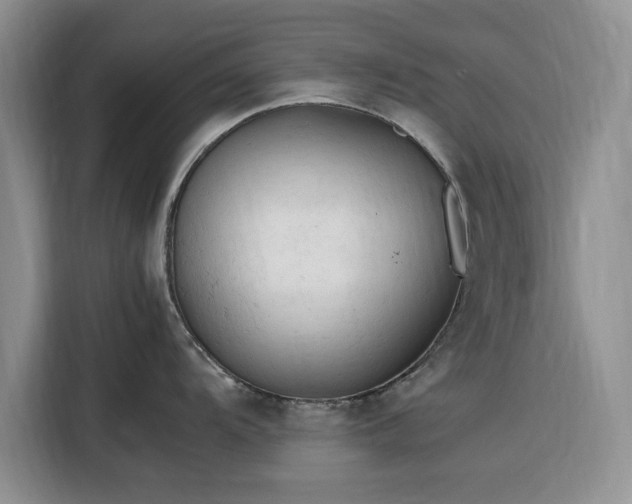 X0000116311104200912071303