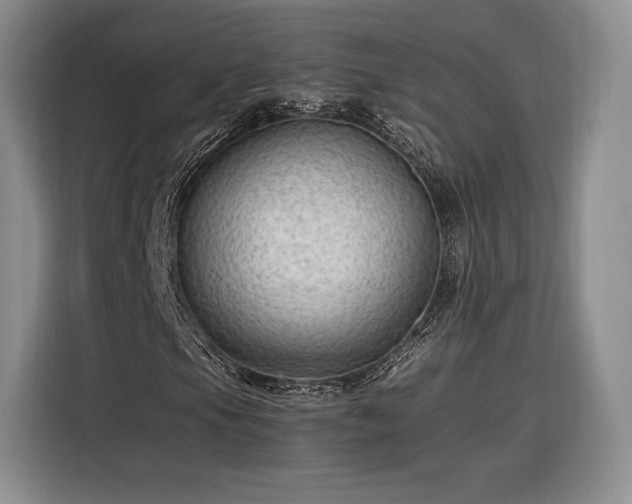 X0000116311105200912071303