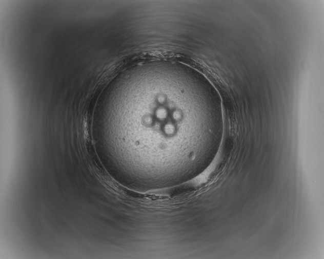 X0000116311106200912071303