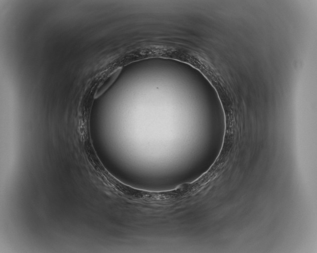 X0000116311109200912071303