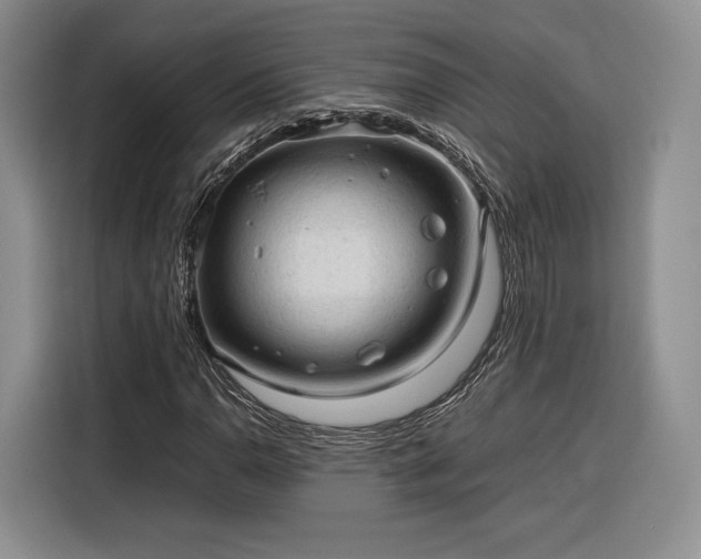 X0000116311110200912071303