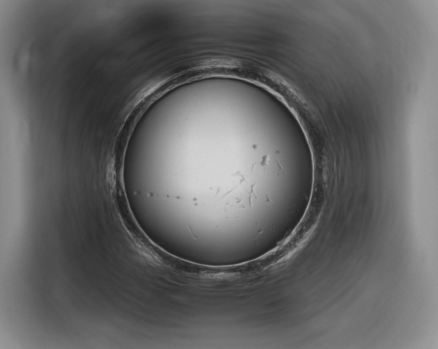 X0000116311113200912071303