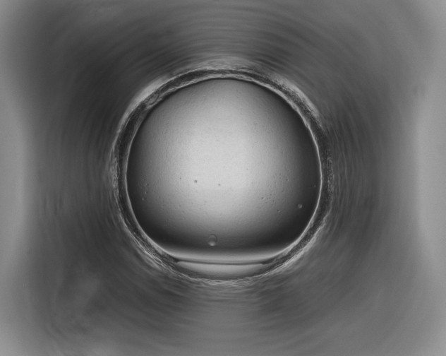 X0000116311114200912071303